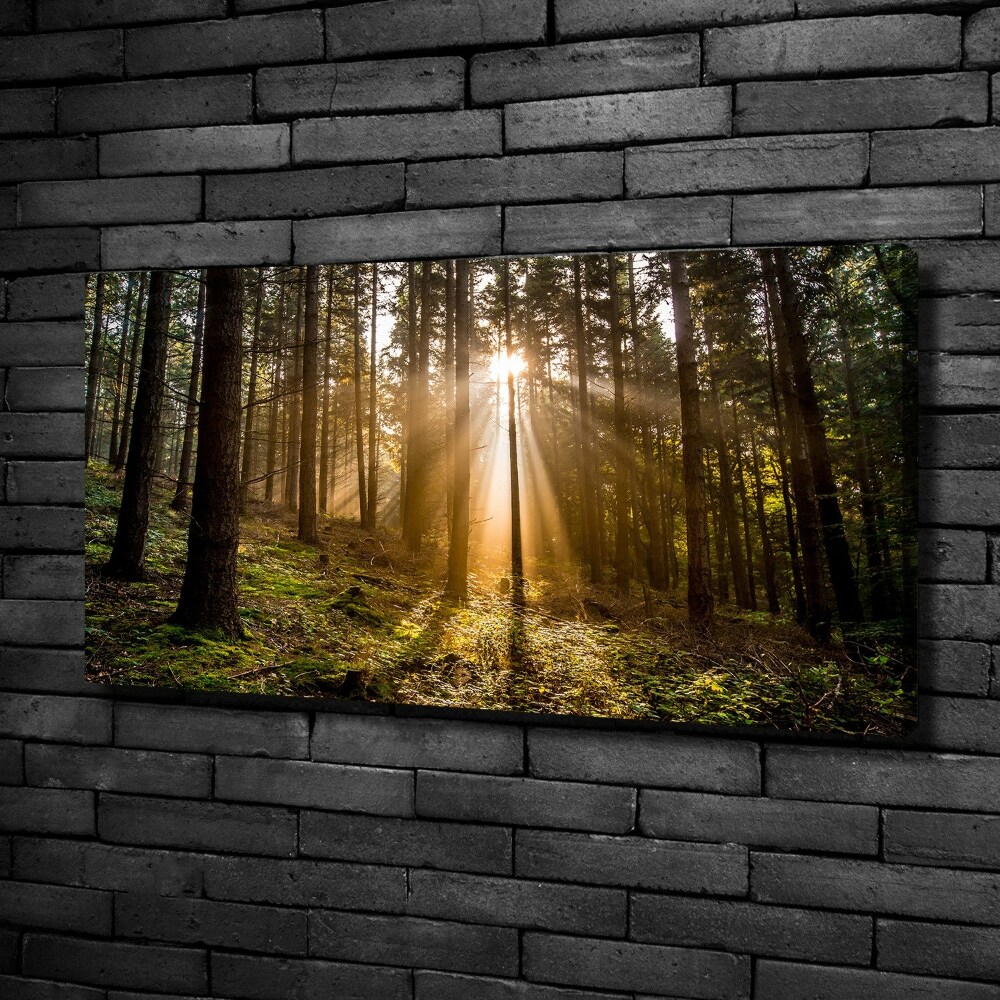 Canvas wall art Sunlight