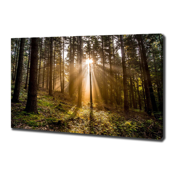 Canvas wall art Sunlight