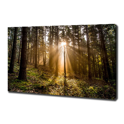 Canvas wall art Sunlight