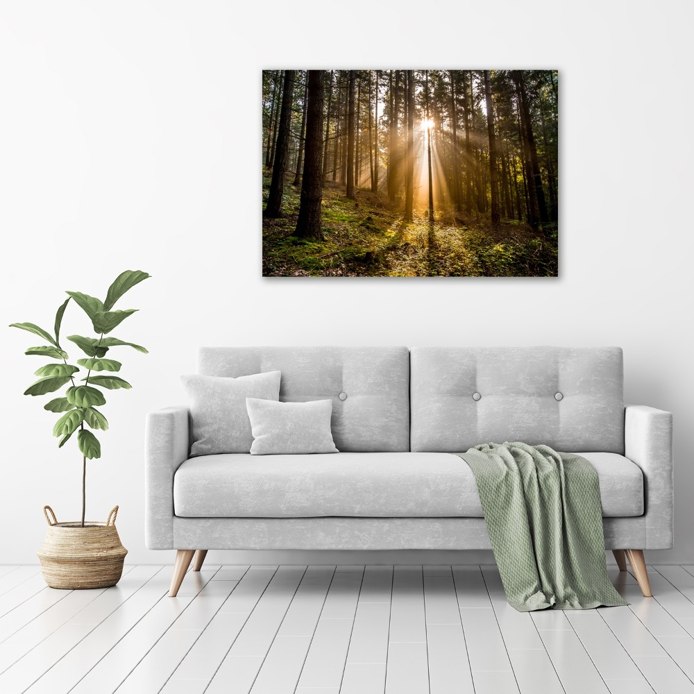 Canvas wall art Sunlight