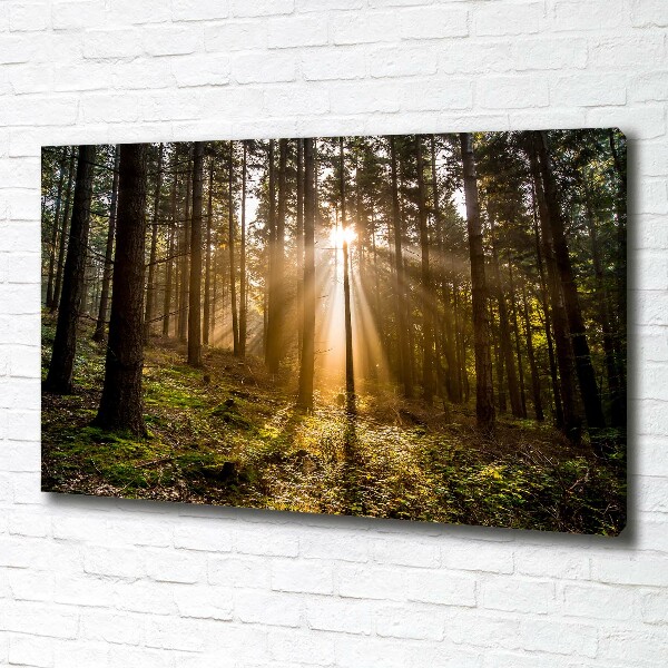 Canvas wall art Sunlight