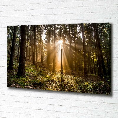 Canvas wall art Sunlight