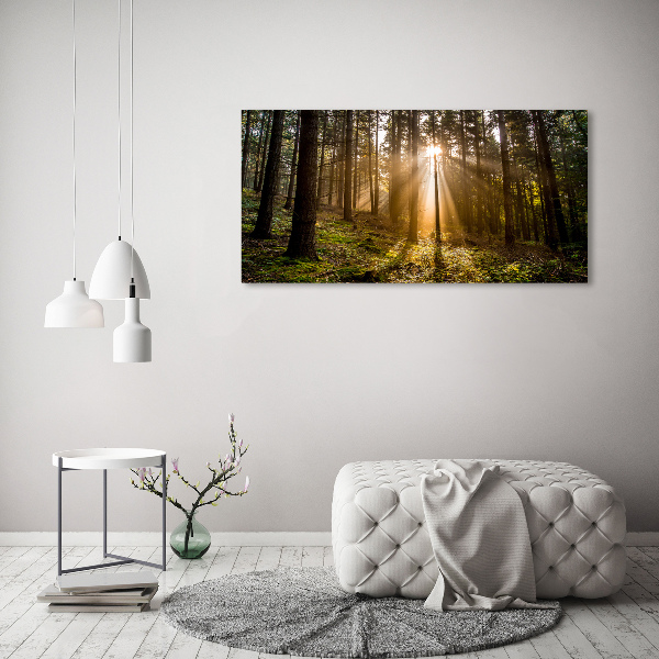 Canvas wall art Sunlight