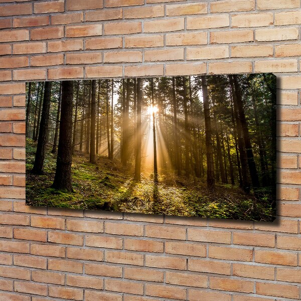 Canvas wall art Sunlight