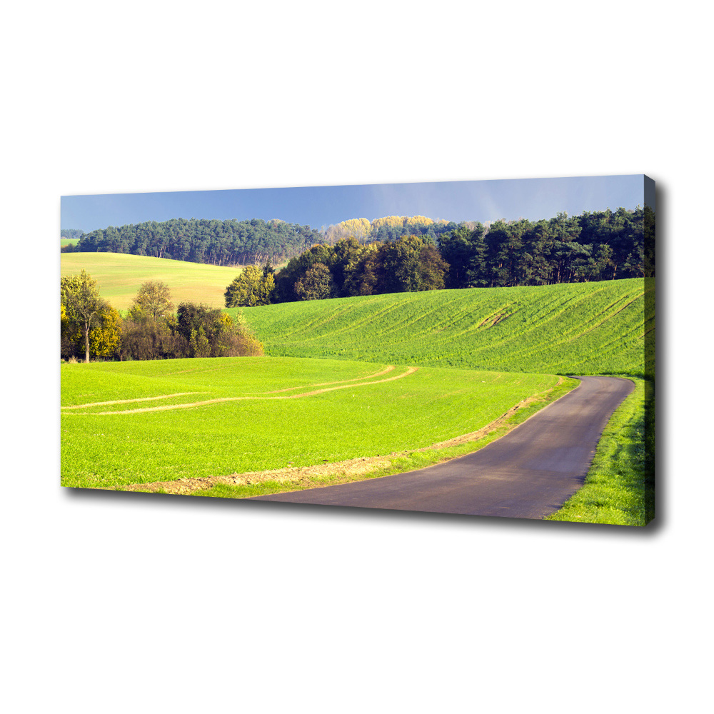 Canvas wall art dirt road