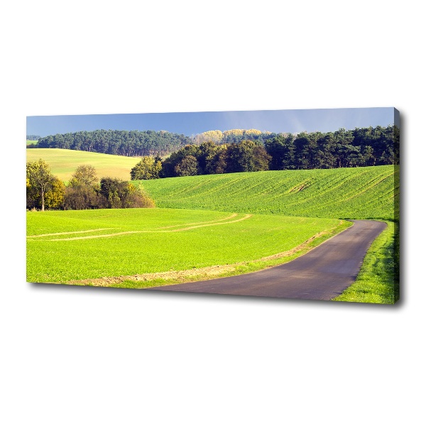 Canvas wall art dirt road