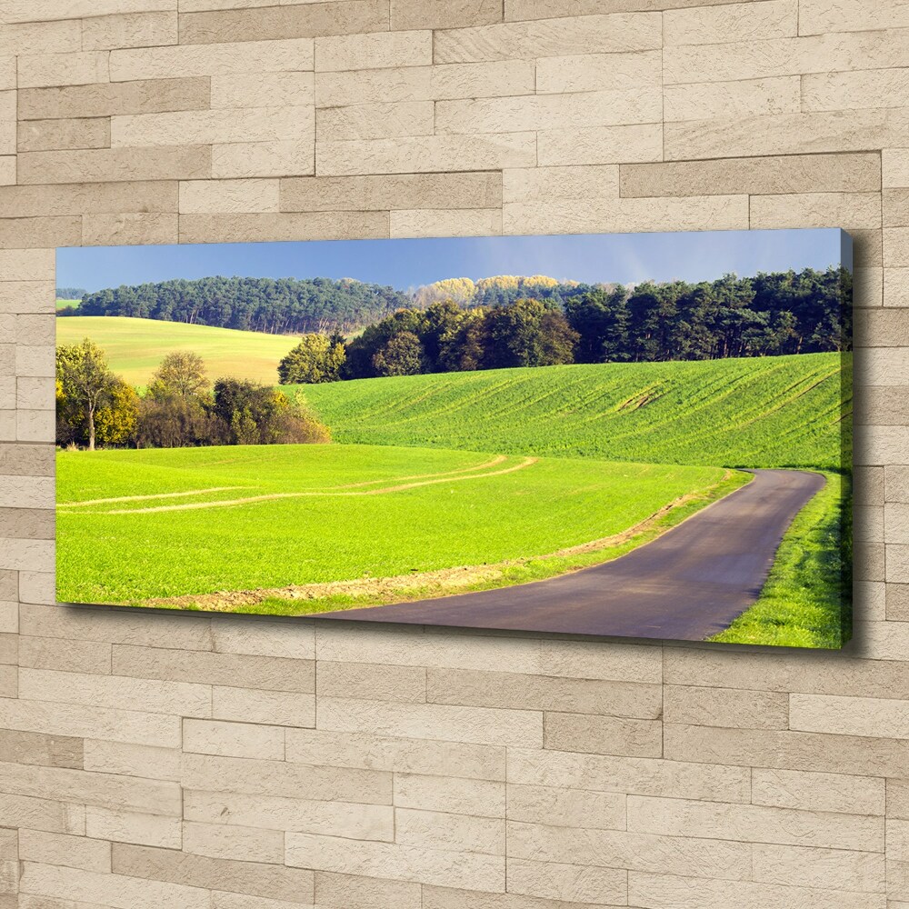 Canvas wall art dirt road