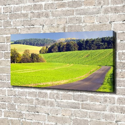 Canvas wall art dirt road