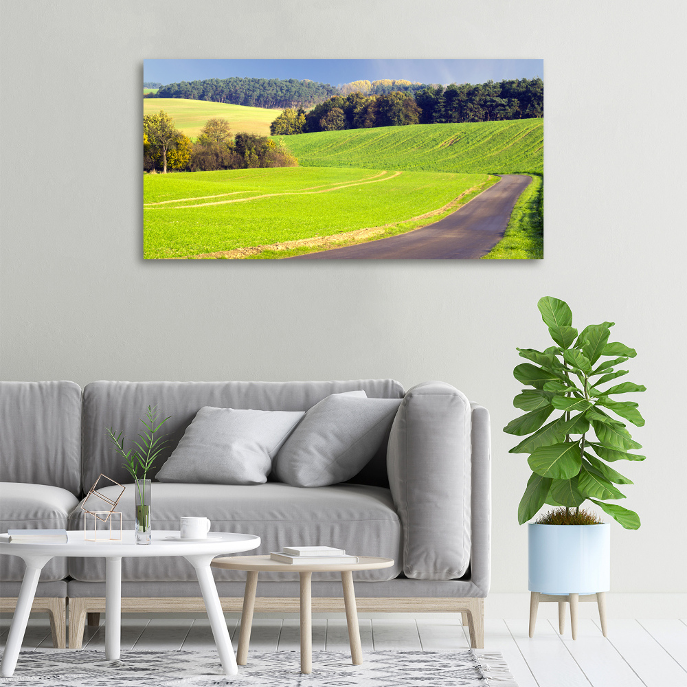 Canvas wall art dirt road