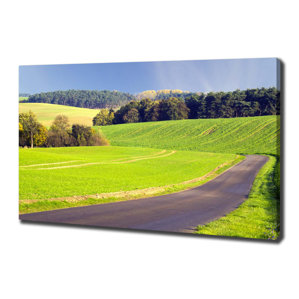 Canvas wall art dirt road