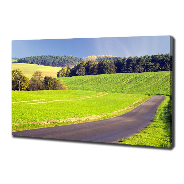 Canvas wall art dirt road