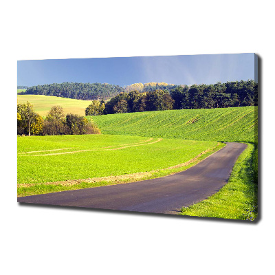 Canvas wall art dirt road