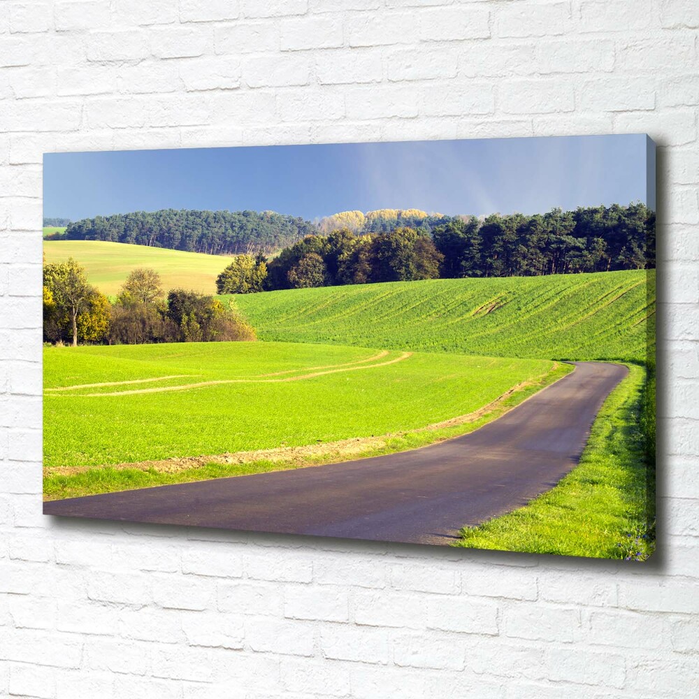 Canvas wall art dirt road