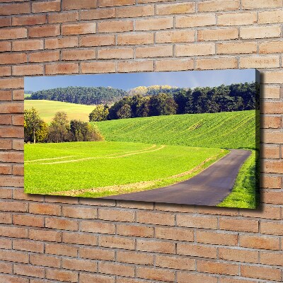 Canvas wall art dirt road