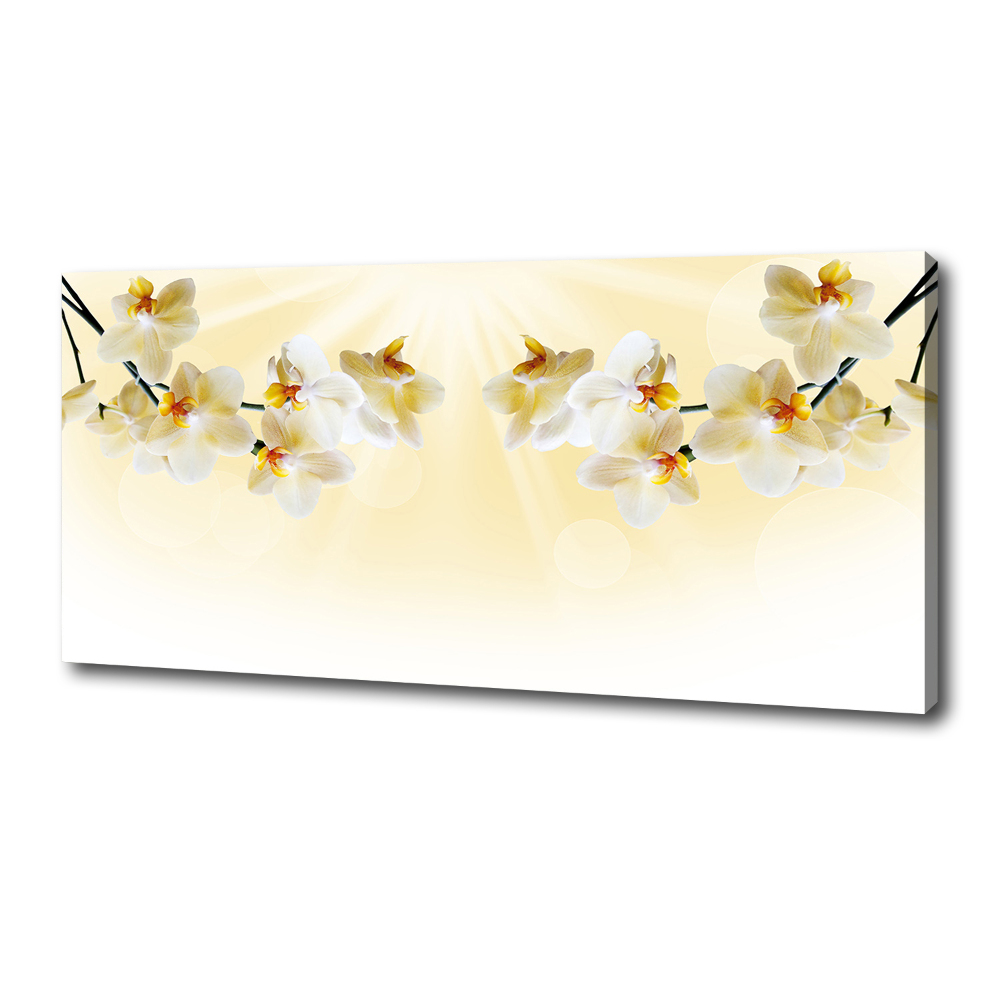 Canvas wall art Orchid