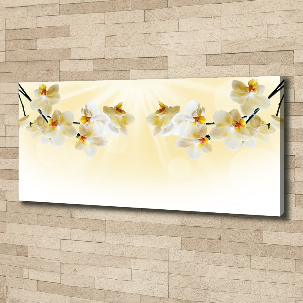 Canvas wall art Orchid