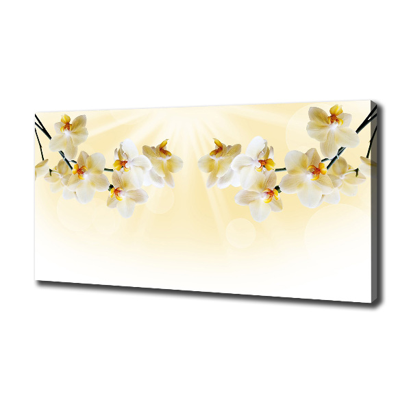 Canvas wall art Orchid