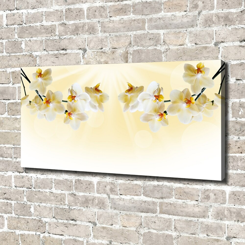 Canvas wall art Orchid