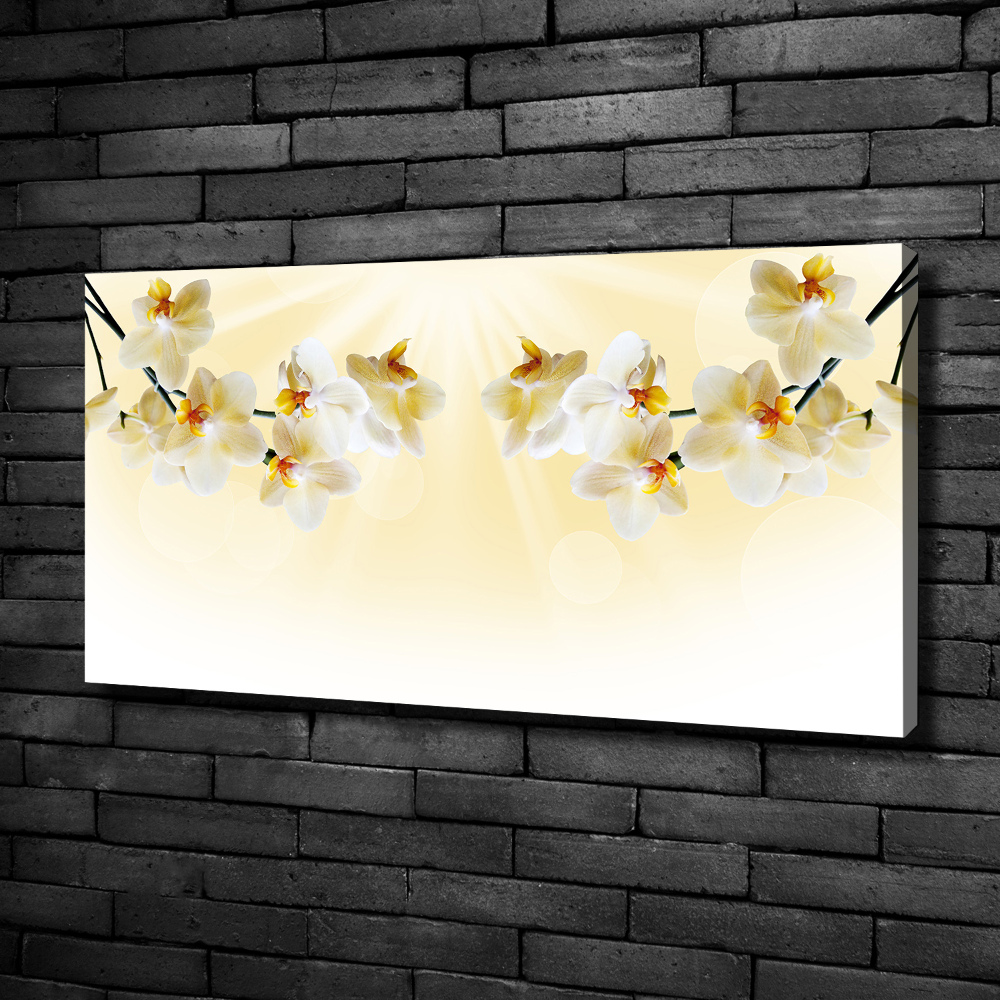 Canvas wall art Orchid