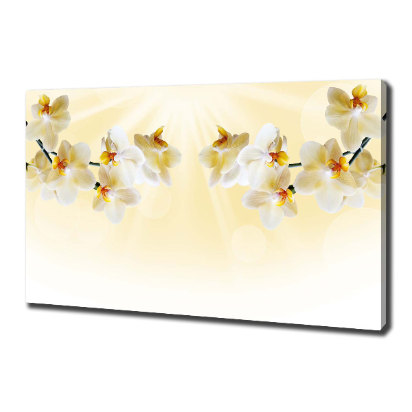 Canvas wall art Orchid