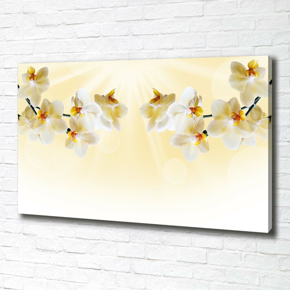 Canvas wall art Orchid