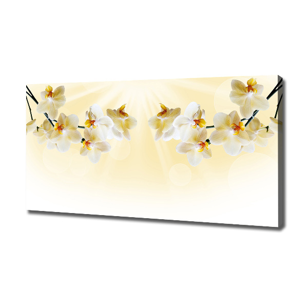 Canvas wall art Orchid