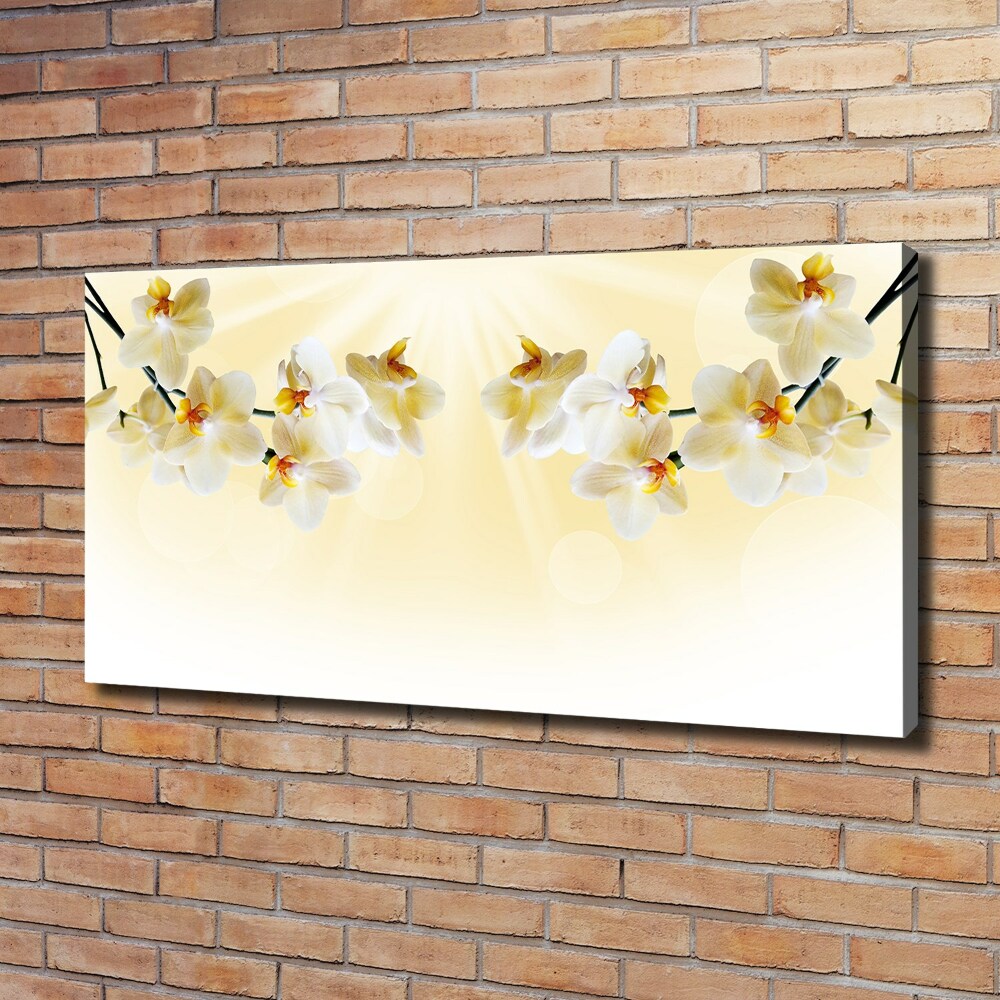 Canvas wall art Orchid