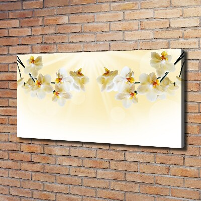 Canvas wall art Orchid