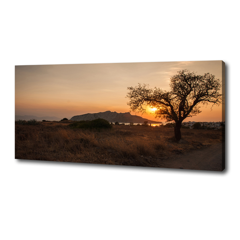 Canvas wall art Sunset