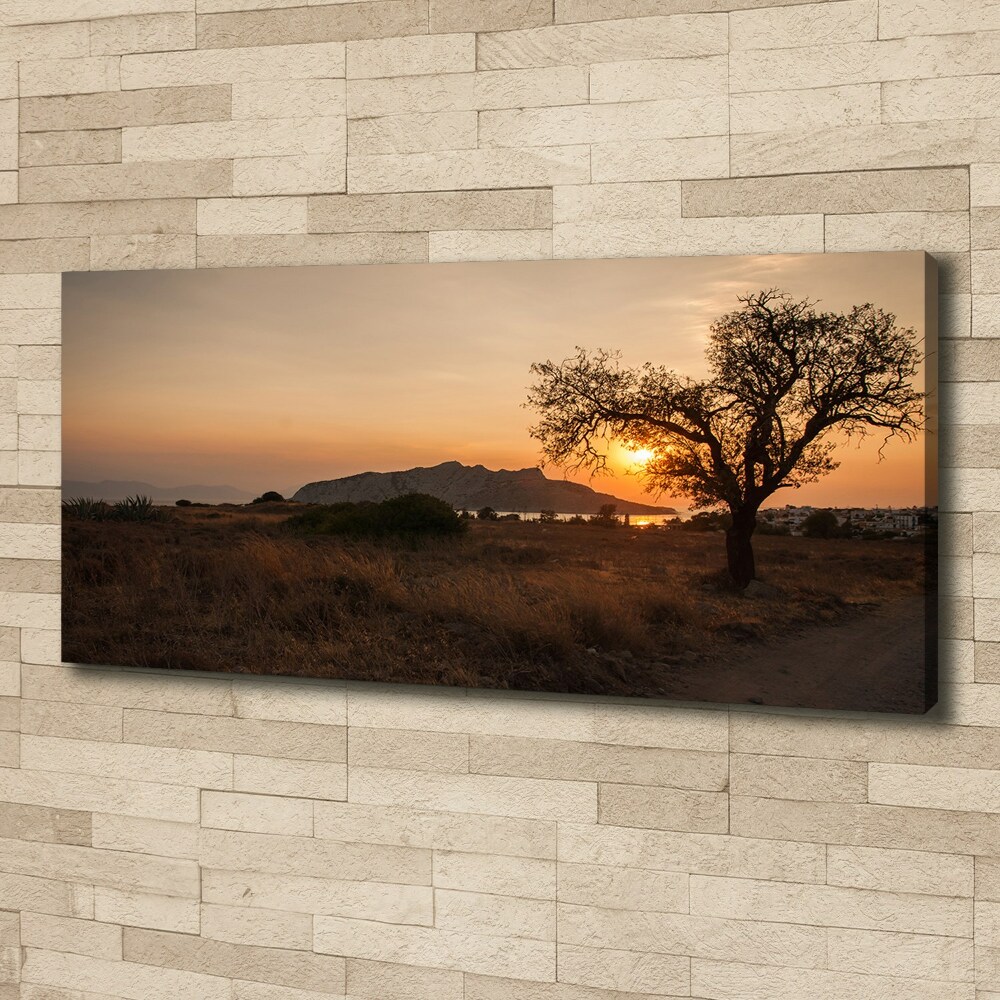 Canvas wall art Sunset