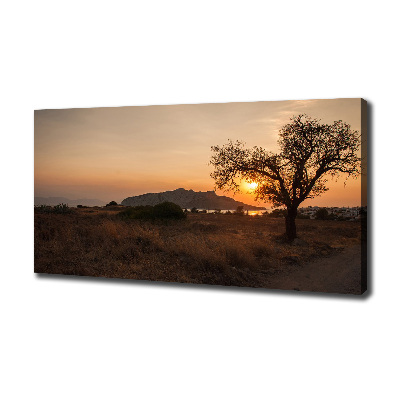 Canvas wall art Sunset