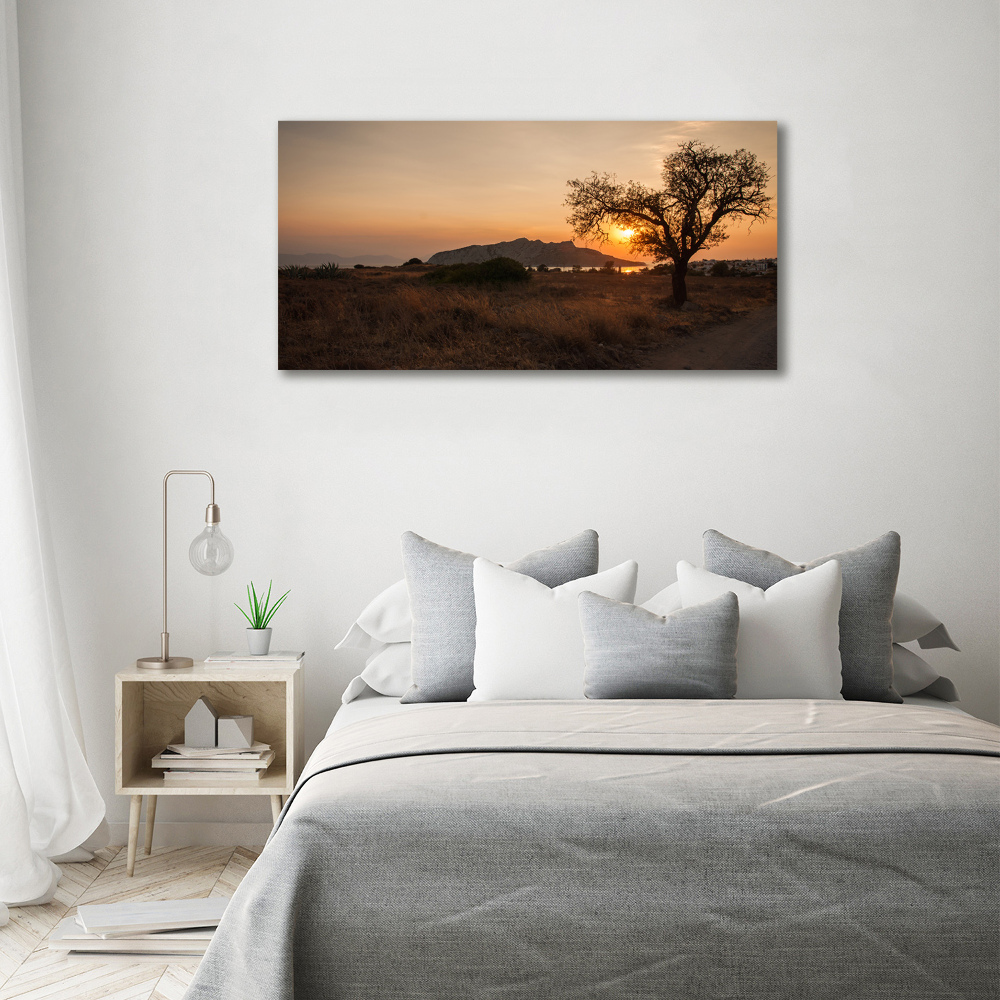 Canvas wall art Sunset