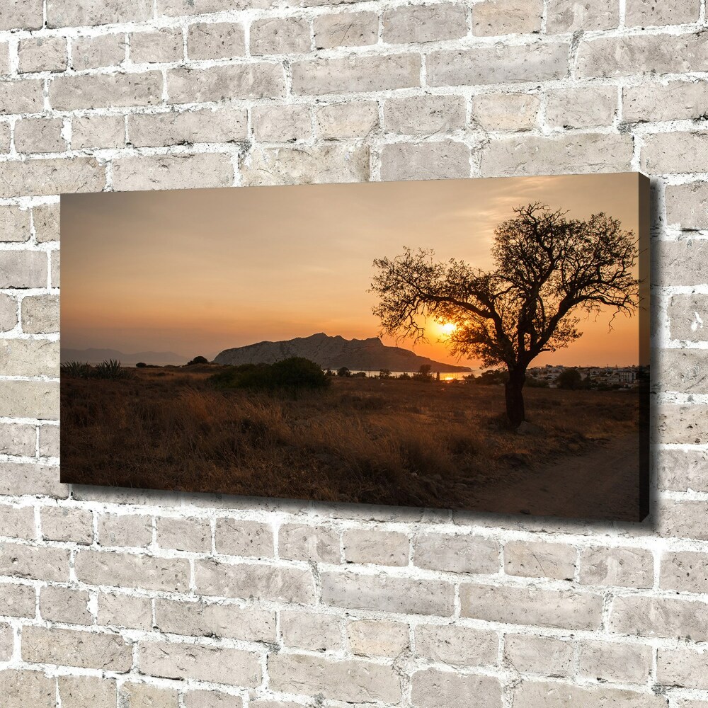 Canvas wall art Sunset