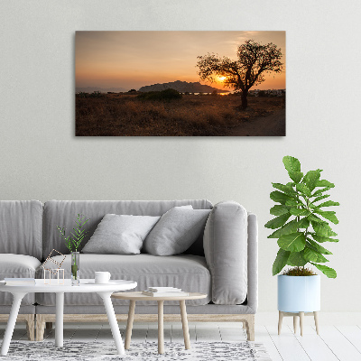 Canvas wall art Sunset