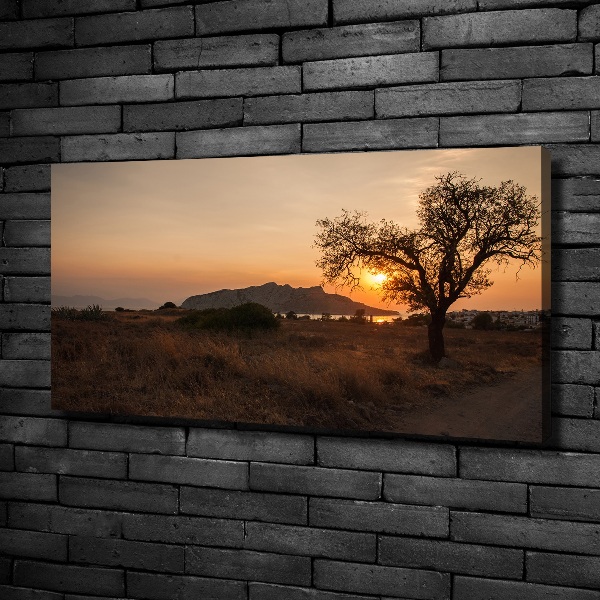 Canvas wall art Sunset