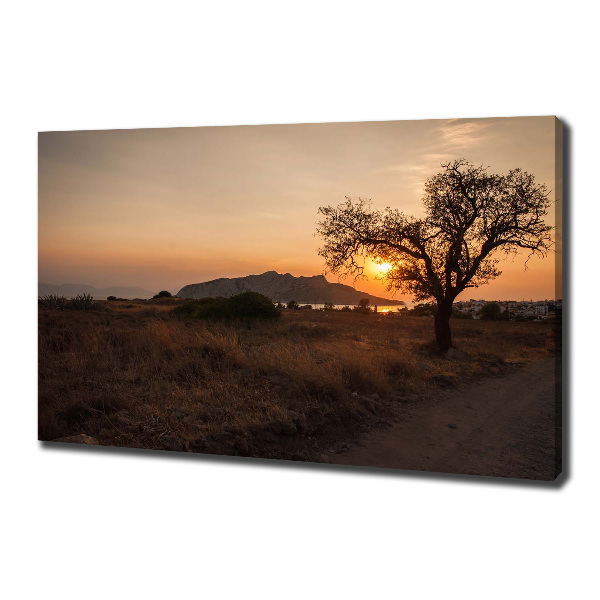 Canvas wall art Sunset