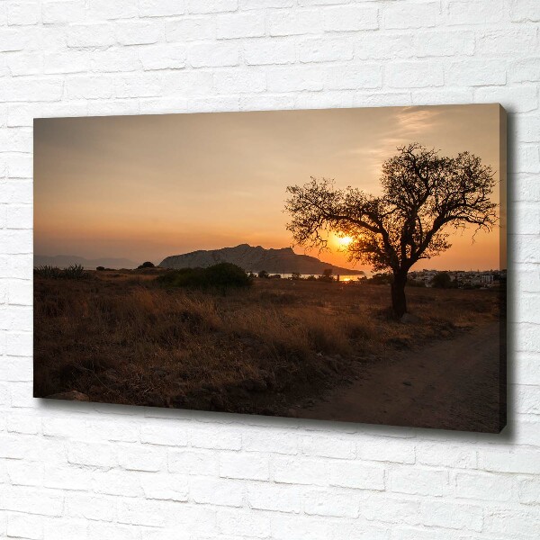 Canvas wall art Sunset