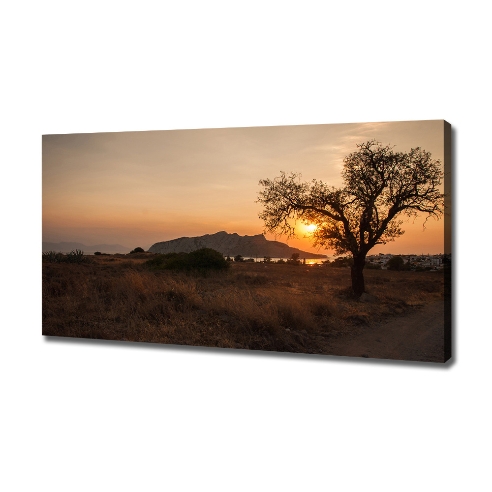 Canvas wall art Sunset