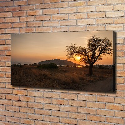 Canvas wall art Sunset