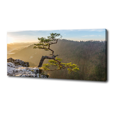 Canvas wall art Sokolica Pieniny