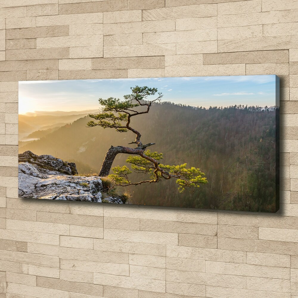 Canvas wall art Sokolica Pieniny