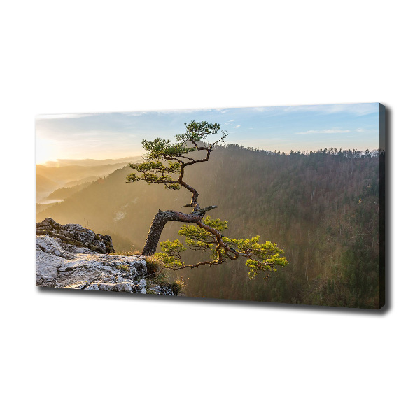 Canvas wall art Sokolica Pieniny