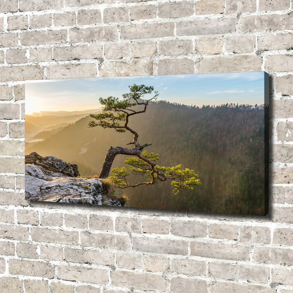 Canvas wall art Sokolica Pieniny