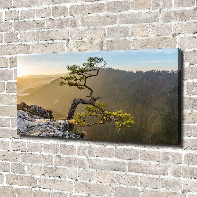 Canvas wall art Sokolica Pieniny