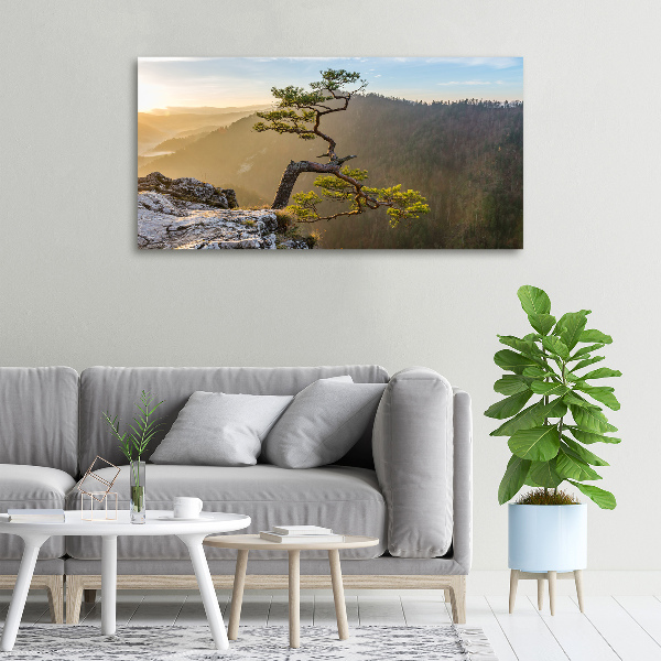 Canvas wall art Sokolica Pieniny