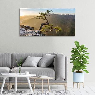 Canvas wall art Sokolica Pieniny