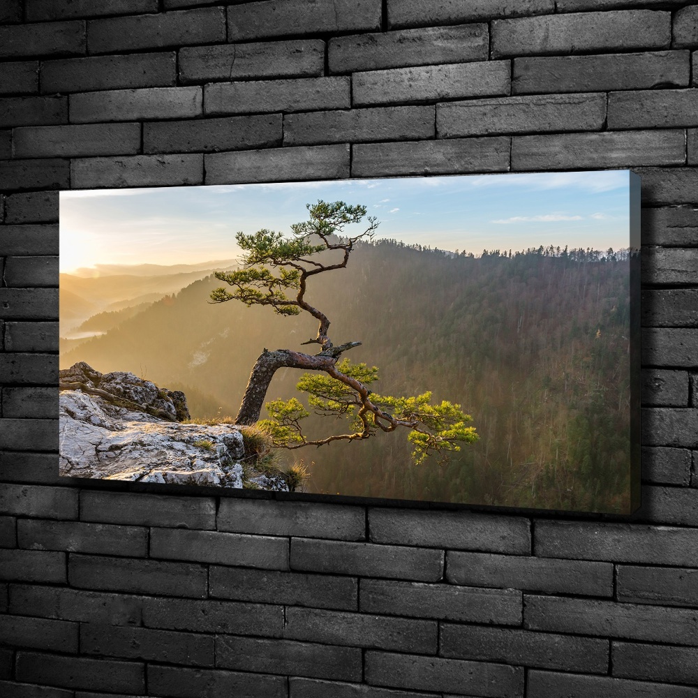 Canvas wall art Sokolica Pieniny