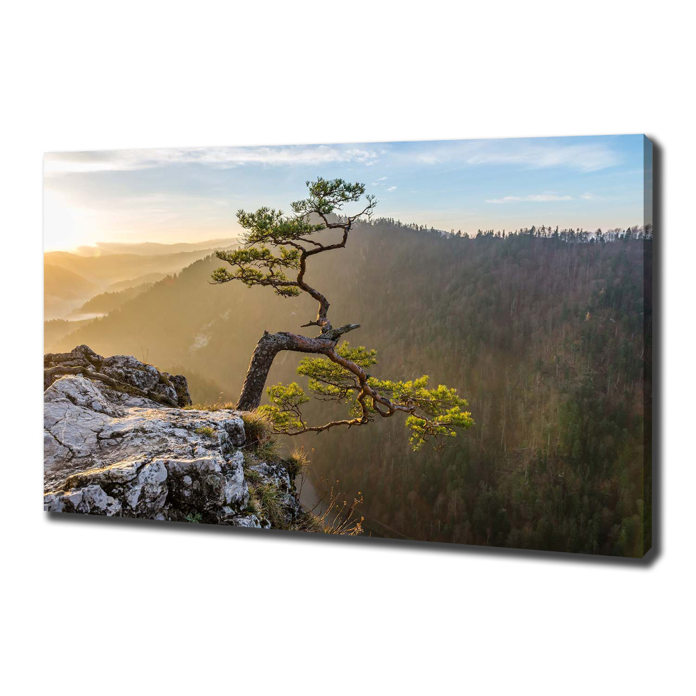 Canvas wall art Sokolica Pieniny