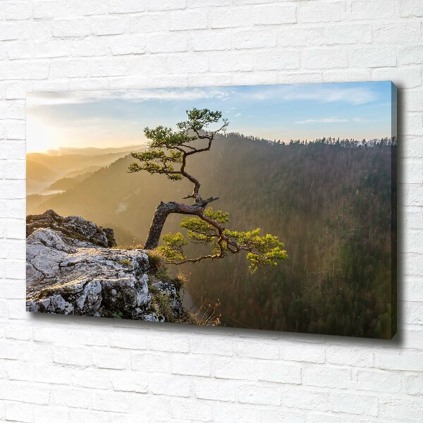 Canvas wall art Sokolica Pieniny