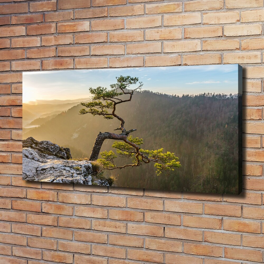 Canvas wall art Sokolica Pieniny